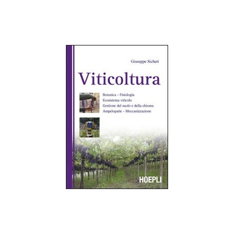 VITICOLTURA